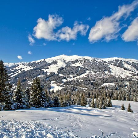 Apartment Bacher Wald im Pinzgau Dış mekan fotoğraf
