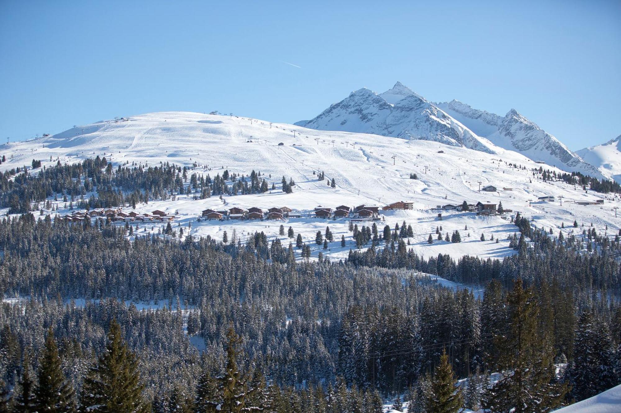 Apartment Bacher Wald im Pinzgau Dış mekan fotoğraf