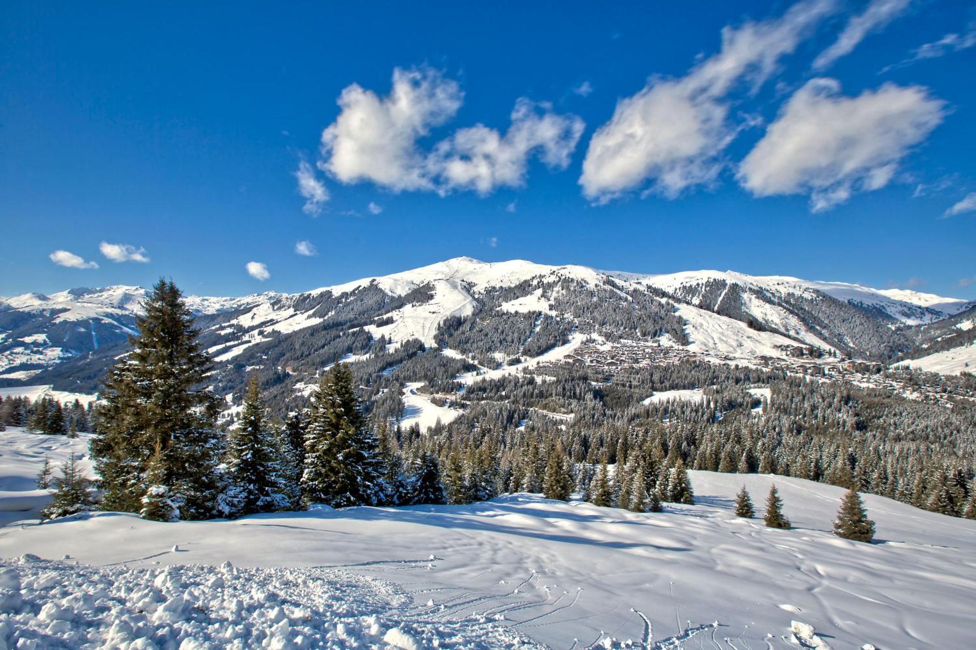 Apartment Bacher Wald im Pinzgau Dış mekan fotoğraf